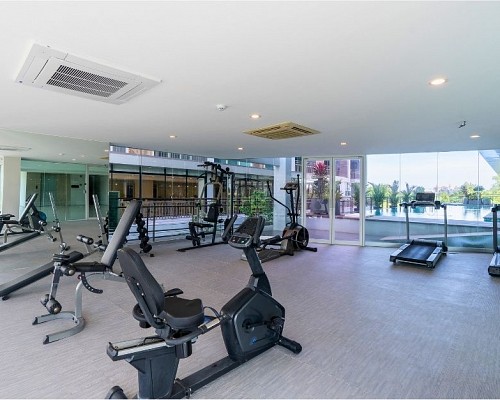 Facilities & Services